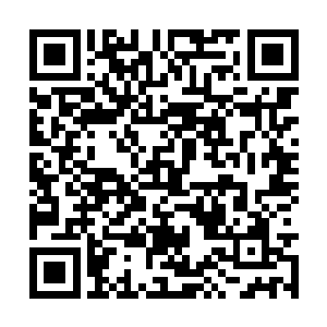 都是因为这三天三夜的迟疑而流露出来的怯懦而起二维码生成