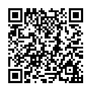 都是士兵们在忙碌之余顺手在周围野地里掏摸来的二维码生成