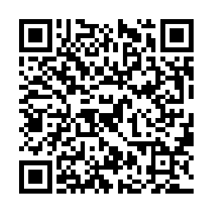 都是女真在这几年战事中搜罗的北地各族悍勇之士二维码生成