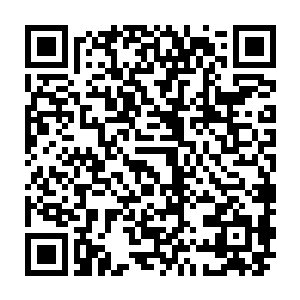 都是完全比不了的……这也就难怪秦方将它当做一个最危险的对手来应付了二维码生成