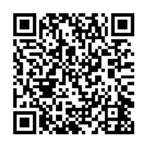 都是廖宾花费大心思和大精力找来和栽培的珍贵药草二维码生成