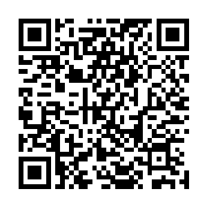 都是当年虫帝利用一些极为特别珍贵的材料打造出来的器皿二维码生成