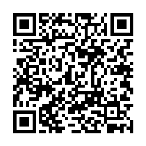 都是我所无法掌控的……必须找个机会杀了他……二维码生成