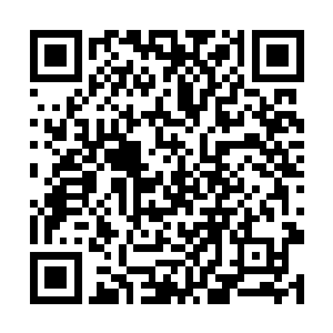 都是掌握了高等变形术的德鲁伊才能获得的稀有能力二维码生成