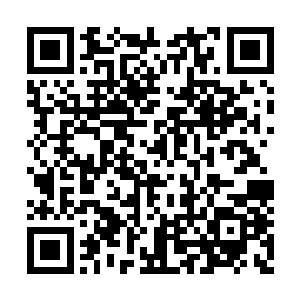 都是排的上号宋家根本就无能抗拒的大人物强援二维码生成