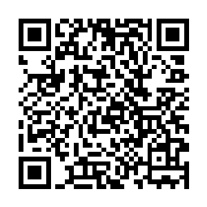 都是放在如何找到梁王孙星域的弱点或者说破绽方面二维码生成