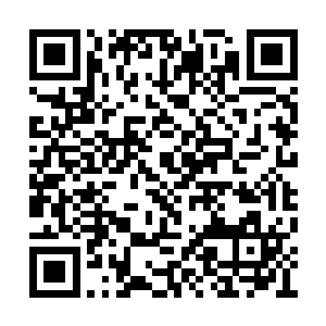 都是整个欧洲电影圈最为顶级最为顶尖的那批人二维码生成