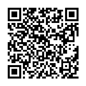 都是族人挑选出来奉献给在世神方大总统的礼物二维码生成