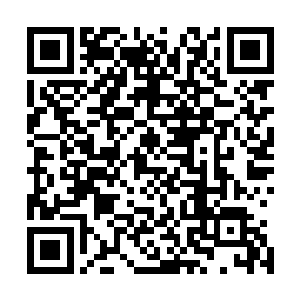 都是杜平县宣传部长王子鸣从县电视台精挑细选的精兵强将二维码生成