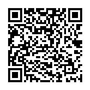 都是来头不小的也不知道为什么那些什么仙域城主二维码生成