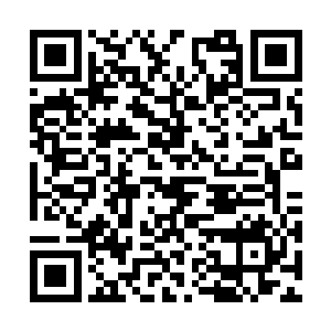 都是柳林要去黑暗之都参加黑暗学院纳新考试的人二维码生成