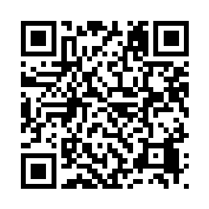 都是比照安家那两小只一样的规格二维码生成