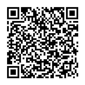 都是白素仙洗澡时的那双雪白的大腿和她抹胸下面的那道深深的沟壑二维码生成