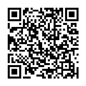 都是看在为父第一个站出来为新朝摇旗呐喊的份上二维码生成