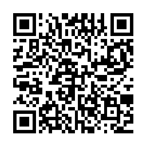 都是看对天地规则的领悟程度多高低以及掌握神通的威力强弱二维码生成