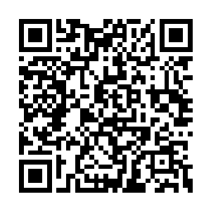 都是紧张的看着风清扬与那尊不知名的魔帝之子二维码生成