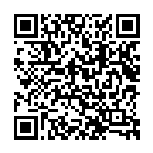 都是肆意让经纪公司以及电影投资人随意玩弄的二维码生成