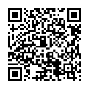 都是蓝星群岛化身巨大战争堡垒的时候被轰杀成渣二维码生成