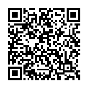 都是被奥术污染过的物品产生了自己凶暴的灵性二维码生成