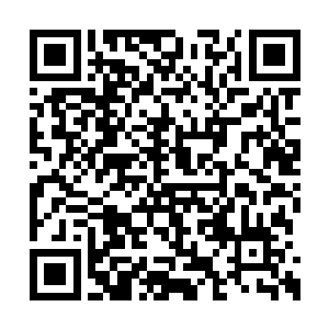 都是记载着一些异能研究的专用公式之类的东西二维码生成