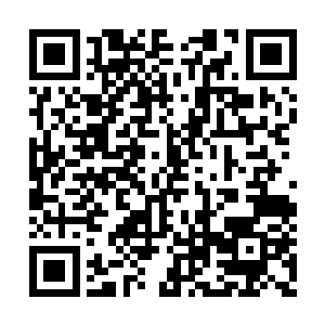 都是超越人魔两族神皇或者魔皇一级的绝世强者二维码生成