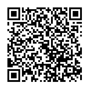 都是跟送死没有什么区别的……所以这两位五星杀手就这么放任秦方离去二维码生成