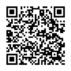 都暗暗有些震惊地望着宝座上与掌教平起平坐的两位太上长老二维码生成
