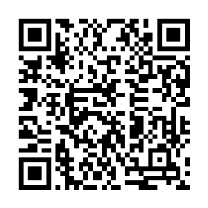 都曾经无数次幻想过自己的初吻会在怎样浪漫的情景下二维码生成