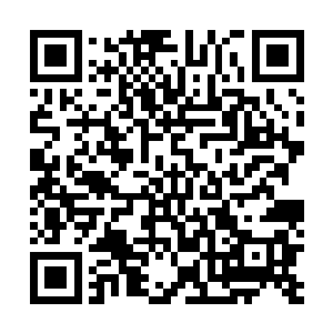 都有一个毛病……那就是迷信战斗力探测器上给出的数据二维码生成