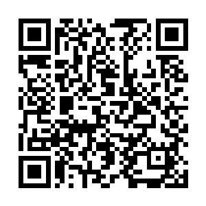 都有些以为萧晨是不是还有什么他们不知道的隐藏身份二维码生成