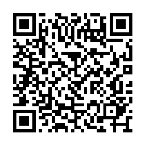 都有可能对星舰的外壳和动力单元造成细微创伤二维码生成