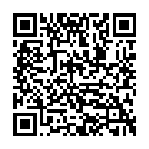 都有可能已经被黑暗之力侵染的变成了黑暗地脉二维码生成
