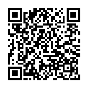 都有无数中下层贵族在鬼鬼祟祟和帝都方面联络二维码生成