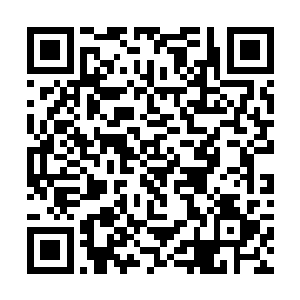 都有权力结束自己的生命这的确符合人道主义的精神二维码生成