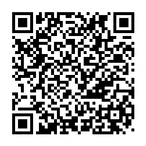 都有点想瞌睡就来了枕头感觉……没见过这么精细贴心的一条龙服务二维码生成