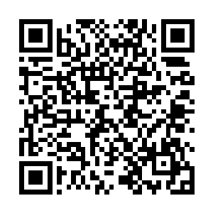 都有紫萱学姐在一旁用天音嗓唱这样的美妙绝伦的歌曲二维码生成