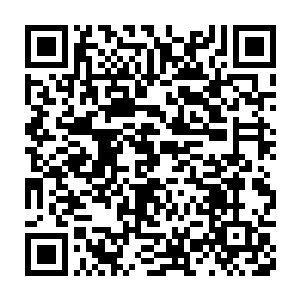 都来源于非常低级的单兵法宝诸如特大号的链锯剑和震荡战刀之类二维码生成