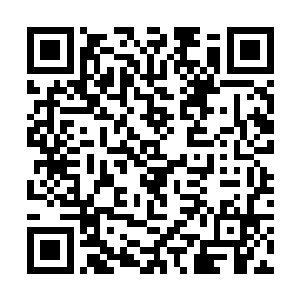 都正以一种无比新奇的目光盯着人家何润卿看个不住二维码生成