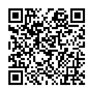 都没人关注红云门这失去威胁的山头在纷乱战场的变动二维码生成