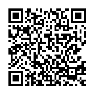 都没有扫描到一丝一毫异常的空间涟漪以及人工虫洞诞生的迹象二维码生成