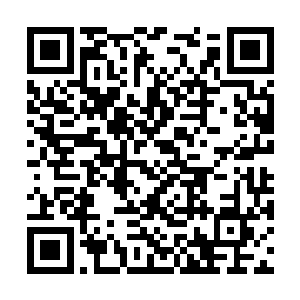 都没法要求杨开主动交代自己在五色宝塔内的经历二维码生成