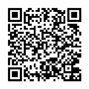 都疯狂地朝着刚刚还唯恐避之不及的高三教学楼涌了过去二维码生成