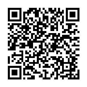 都目睹了赵府管家对这位凯旋归来的大将军带来了某个消息二维码生成