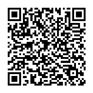 都相信他们不敢放肆到朗朗乾坤下就能干出来这么伤天害理的事情来二维码生成