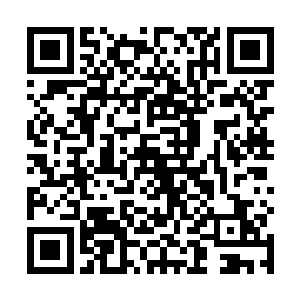 都看到了成功的一刻那一张张的绿油油的美妙-的美钞二维码生成