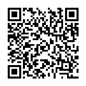 都眼神热切地看着他们……还有那几个傲娇的帅哥二维码生成