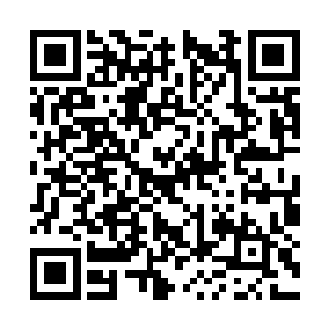 都知道这两大印记是杨开用来催动净化之光的根本二维码生成