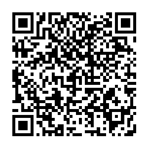 都纷纷施展黑暗天梯不断运送妖族进入――这些妖族或许不具备人族智慧二维码生成