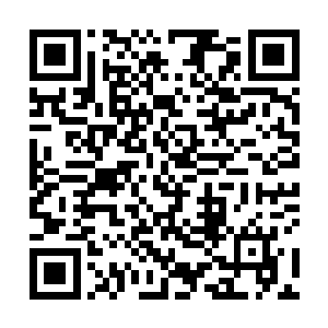 都聚精会神的望向这个弹指间即可取人性命的顶头上司二维码生成