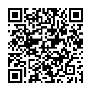 都能依旧燃烧在没有一点柴火的火塘里的那个火种二维码生成